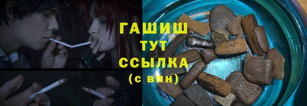 гидра Алексеевка