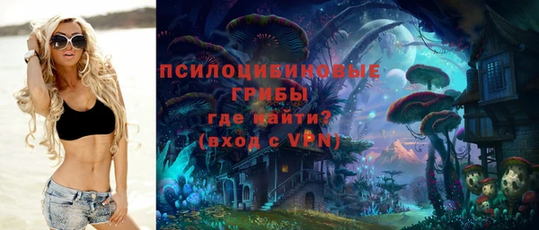 гидра Алексеевка