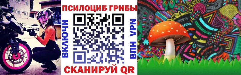 Псилоцибиновые грибы Cubensis  Купить где  Северская 